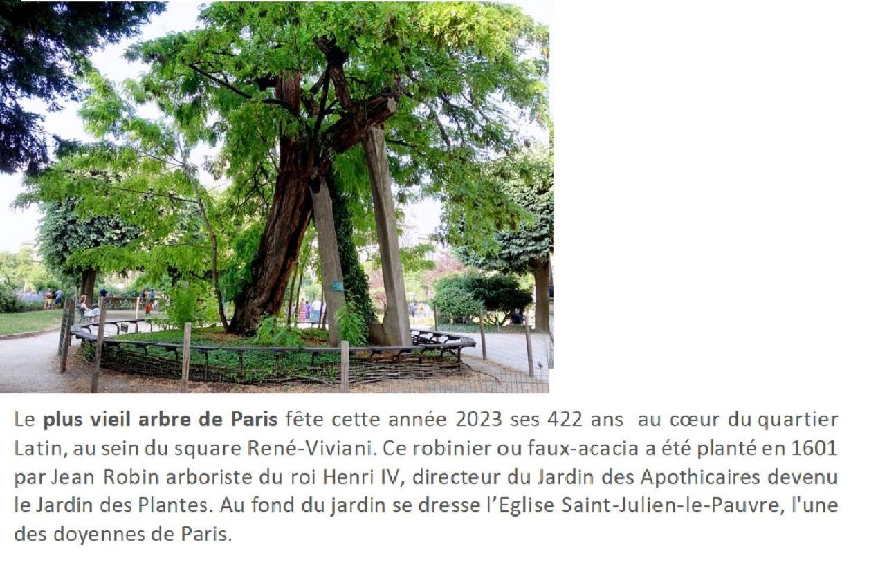 Lovely Studio Notre Dame Parigi